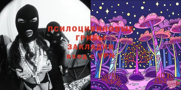 PSILOCYBIN Волосово