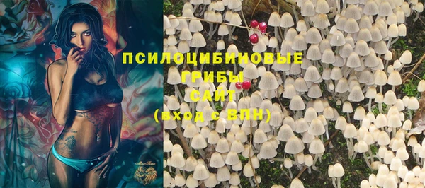 apvp Вязьма