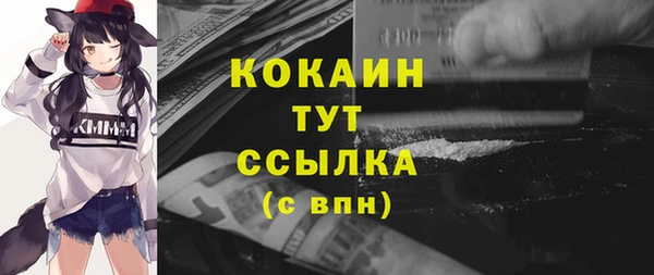 твердый Горнозаводск