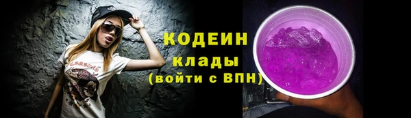 первитин Вяземский