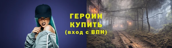 гидра Горняк