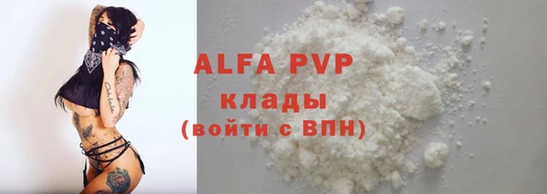 гидра Горняк