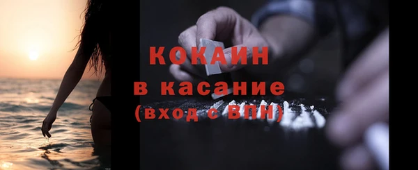 гидра Горняк