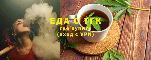 гидра Горняк