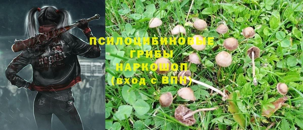 амф Вязники