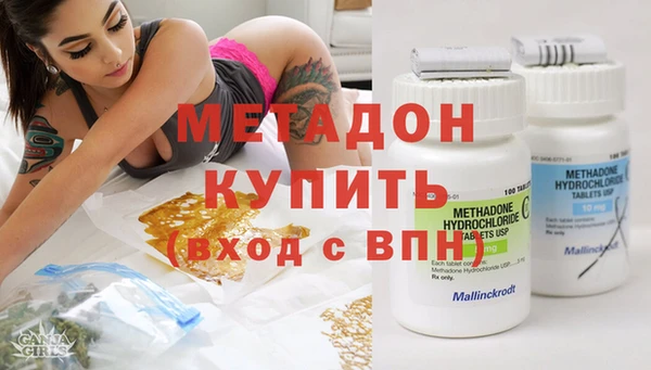 гидра Горняк